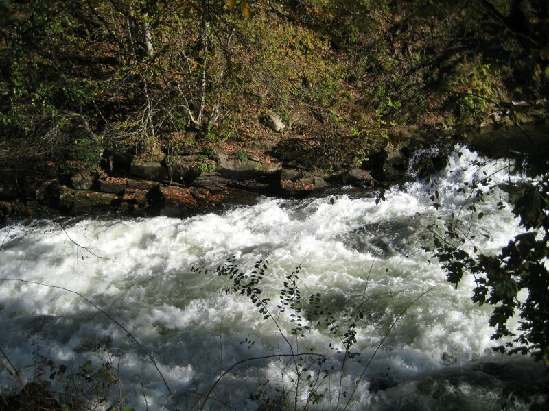 {short description of image}