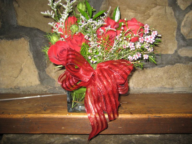 {short description of image}