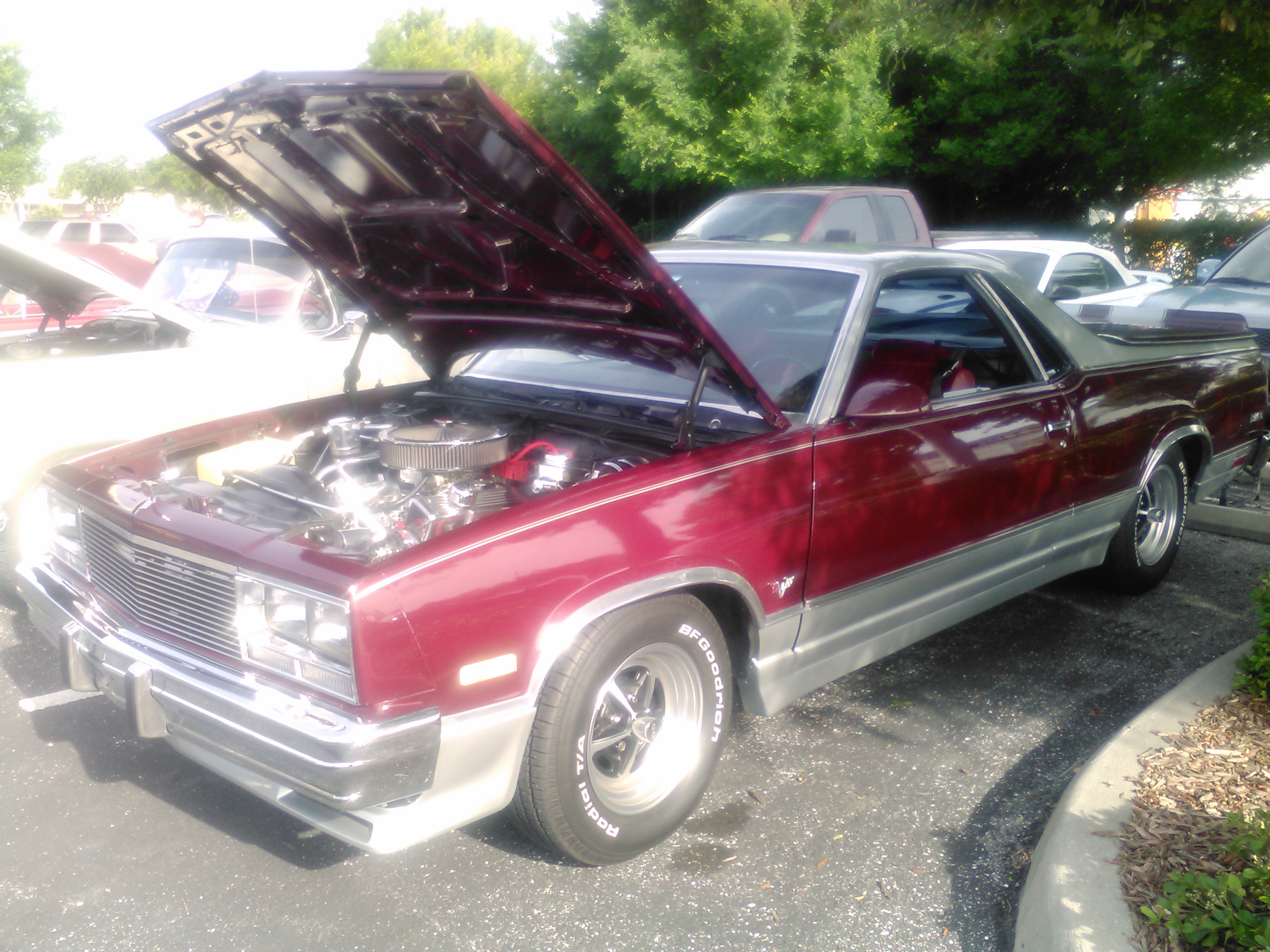 {short description of image}