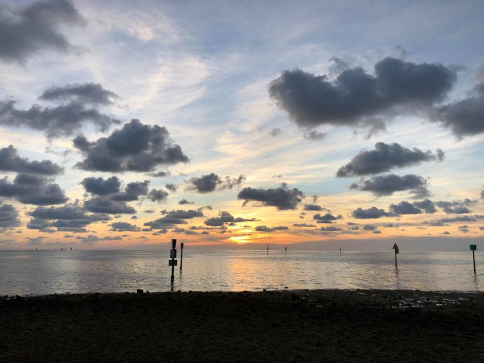 {short description of image}