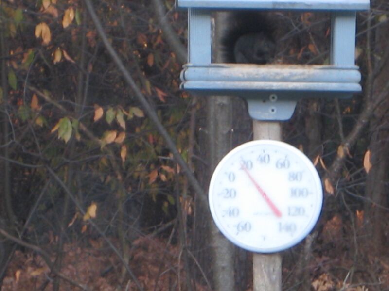 {short description of image}