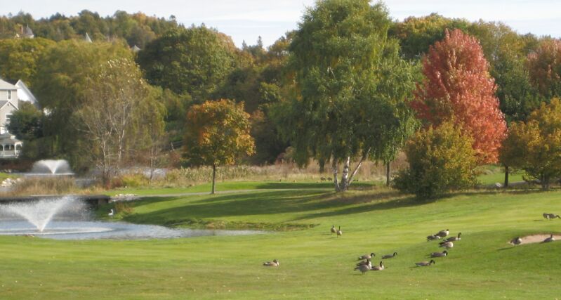 {short description of image}