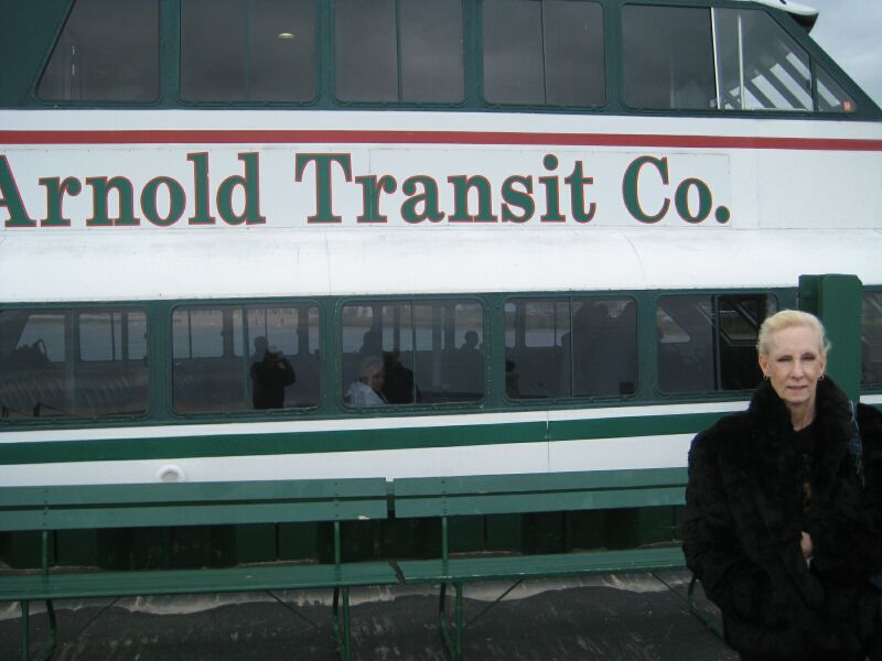 {short description of image}