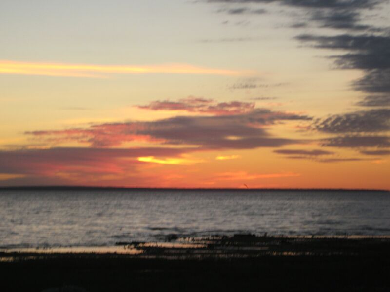 {short description of image}