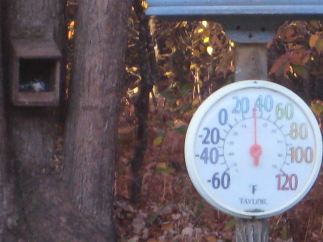 {short description of image}