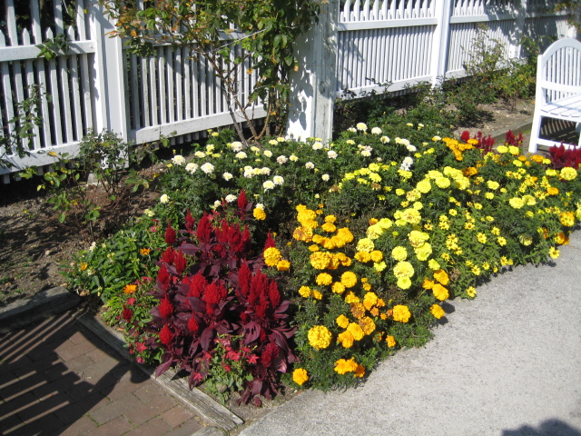 {short description of image}