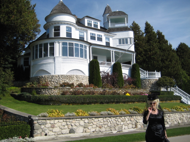 {short description of image}